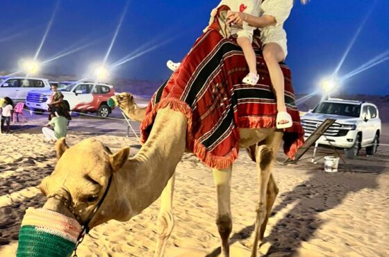 Evening Desert Safari