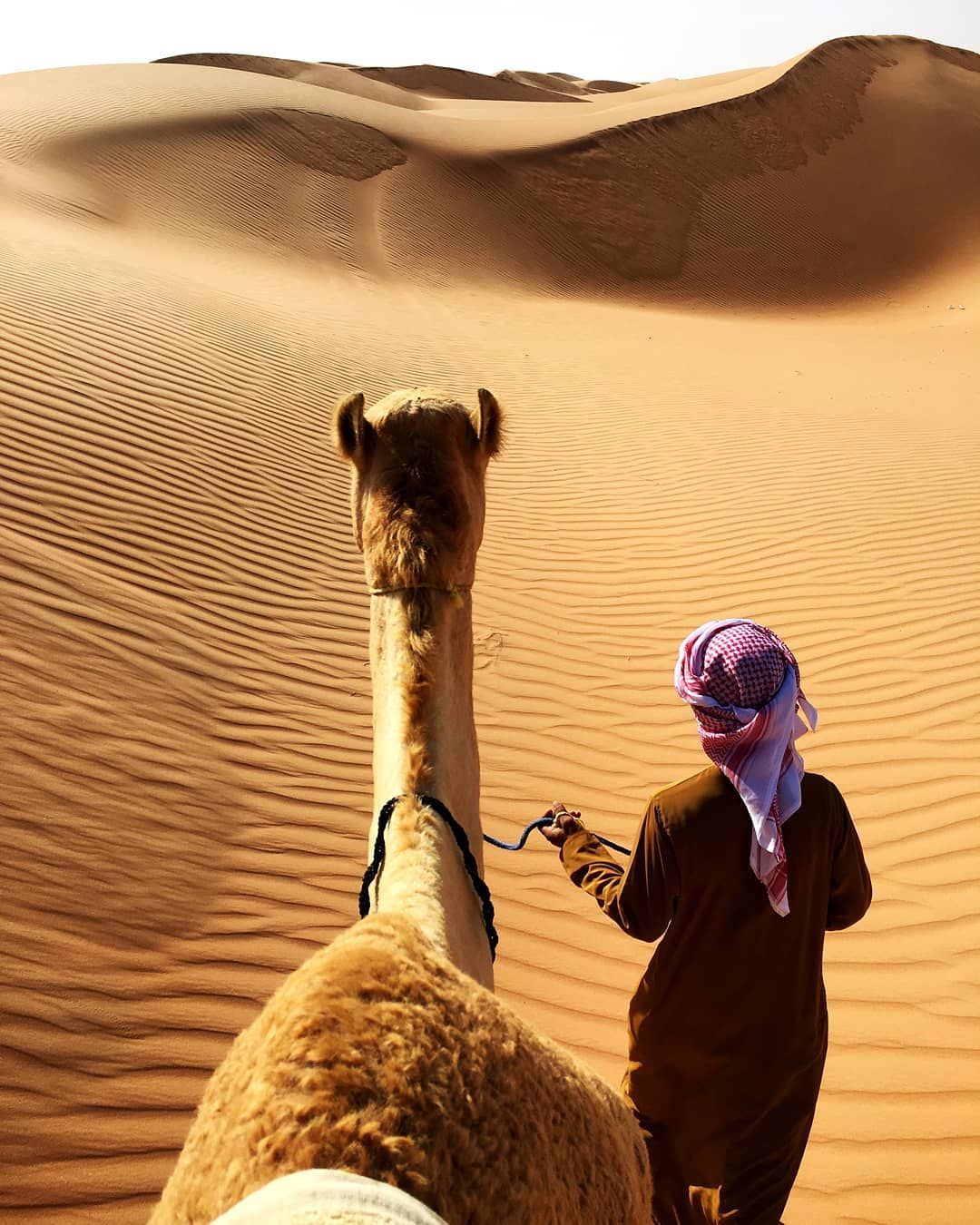 Camel Ride